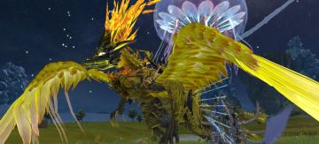 关于宠物易容的小小提议