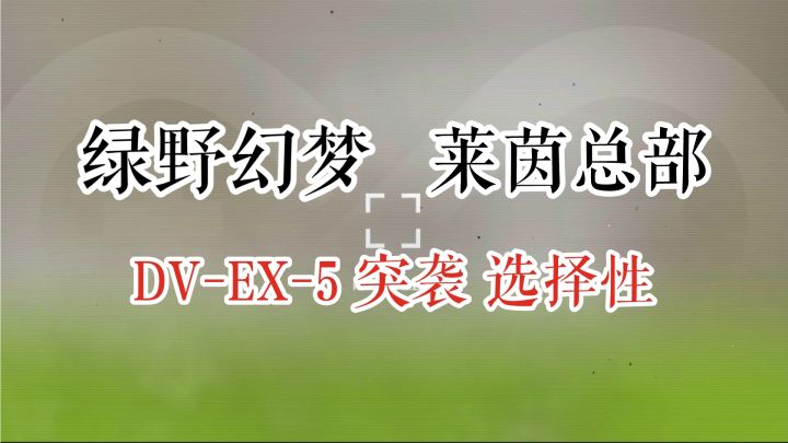 绿野幻梦 莱茵总部 DV-EX-5 突袭 选择性截图