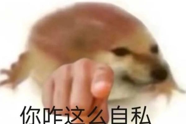 这个源器刷的真难绷 1