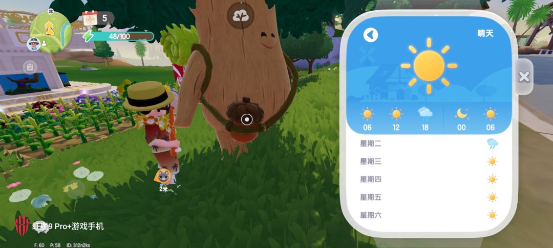 24.9.2 今日溜溜橡木和无暇萤石 2