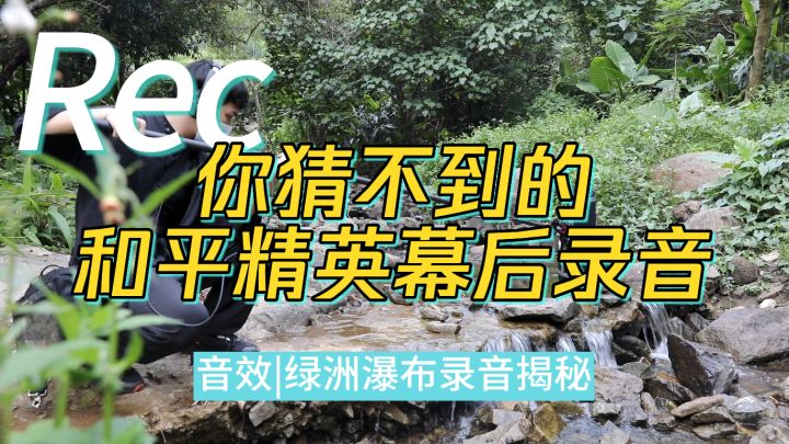 你猜不到的和平精英幕后录音截图