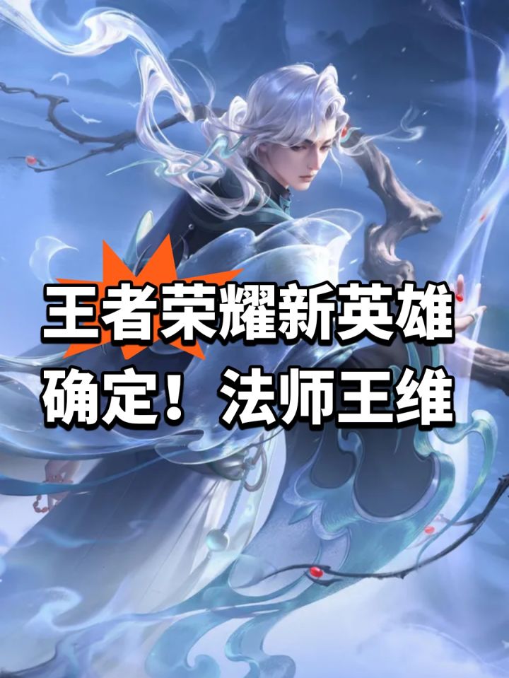 王者荣耀新英雄确定!法师王维截图