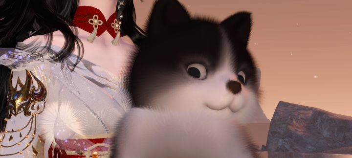 是神相!!!截图