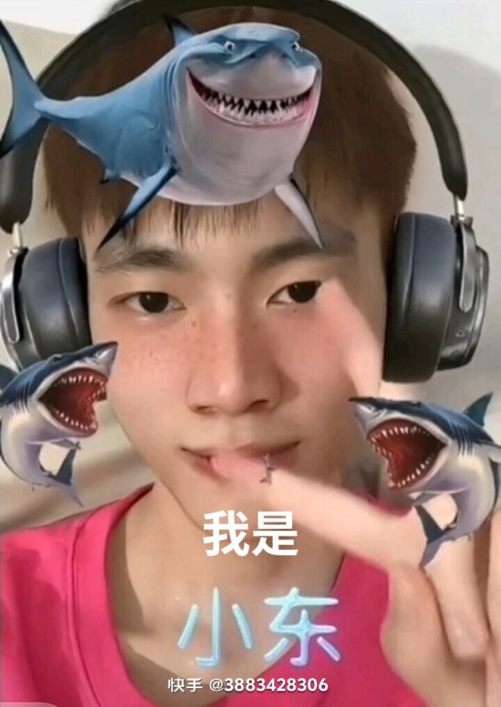 动态图片 2