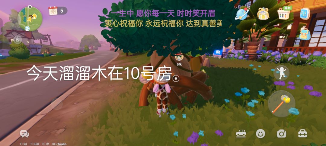 1月12日萤石和溜溜木位置 2
