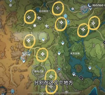 查缺补漏，总计65原石