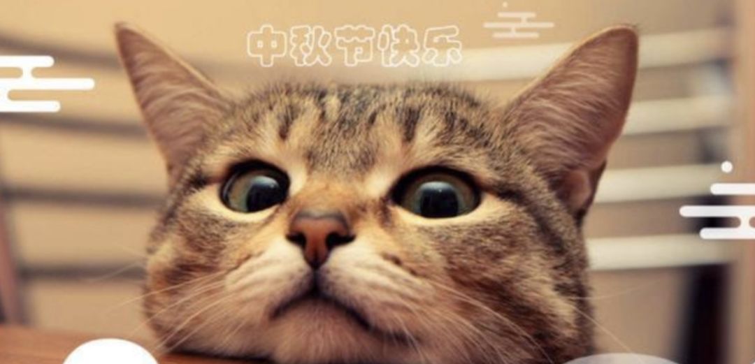 中秋节快乐! 1