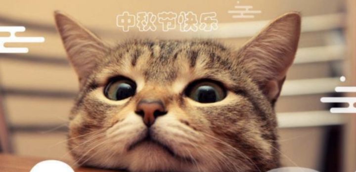 中秋节快乐！截图