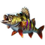 如何钓到更重的鱼？