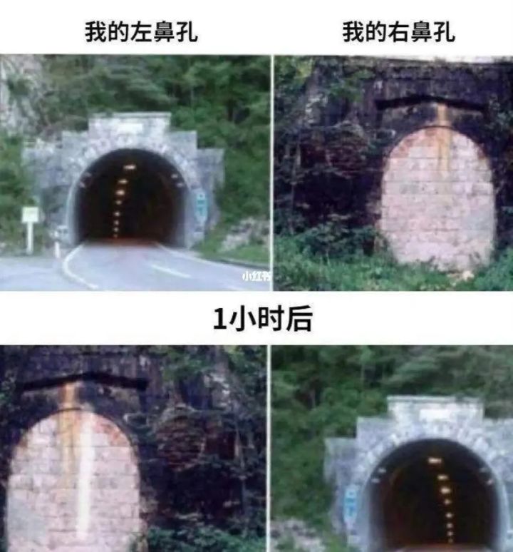 魔物带近战,骑兵带远程就是闹心截图
