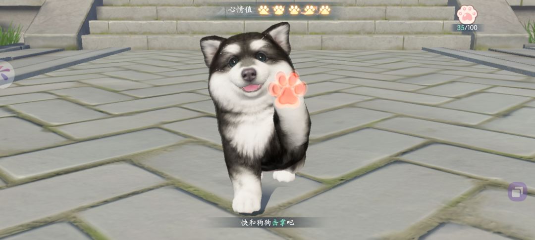 浮生忆玲珑 1
