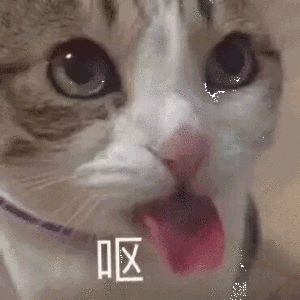 无语了,打到第9个月,一波闪退直接重新开始。没劲了截图