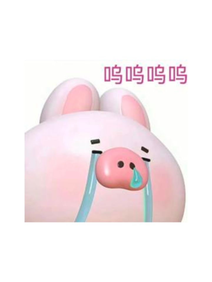 渡劫空间不让渡劫还我血汗钱截图