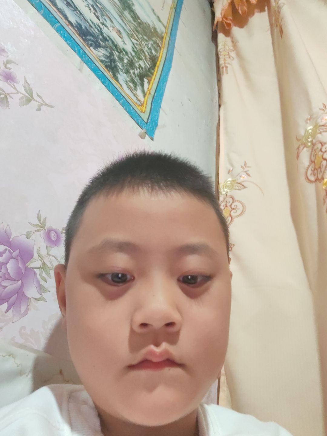 动态图片 1