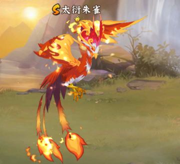 雷厉风行，速度至上—S宠雷雀分析