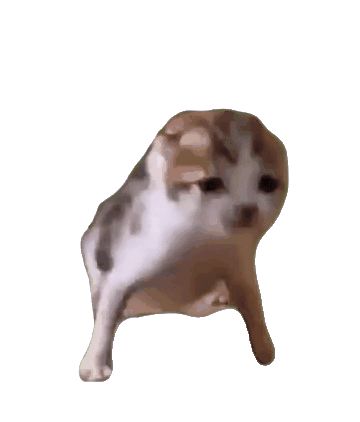 豪赤,明天要狠狠的猛攻截图