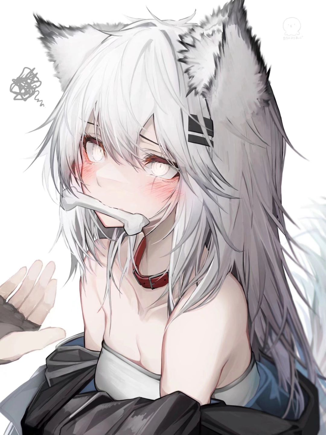 今日美图分享 5