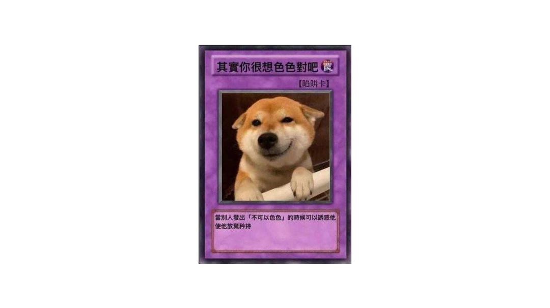 物理流飞盾，萌新福利！截图