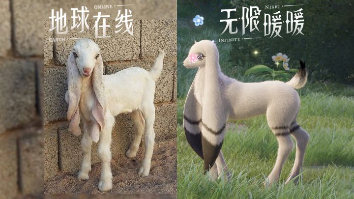 奇迹大陆热门生物鉴定①——袜袜羊截图