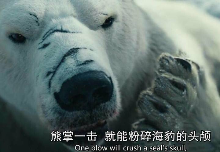 雏菊试玩，一键速刷冥峡界截图