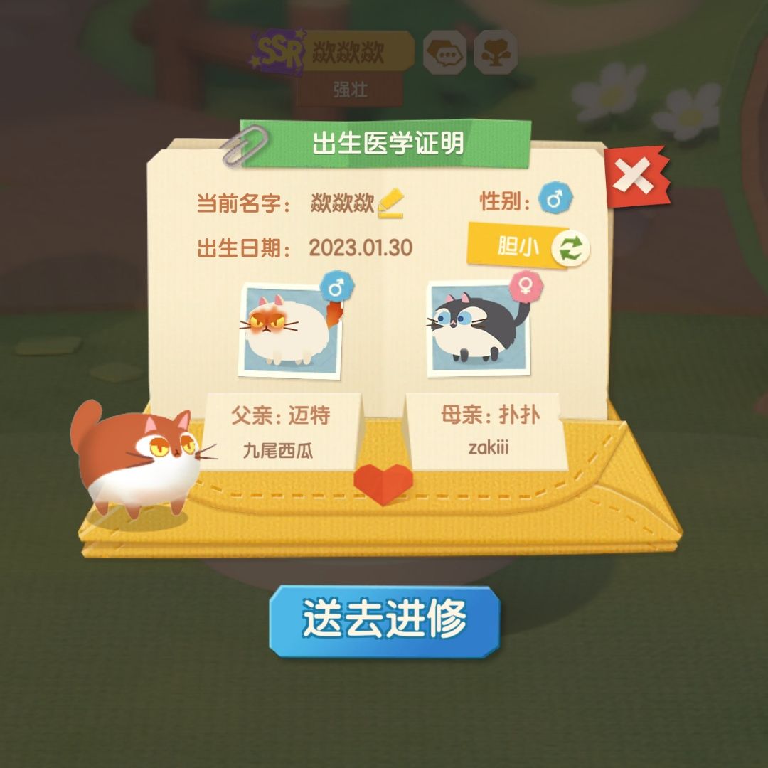 动态图片 4