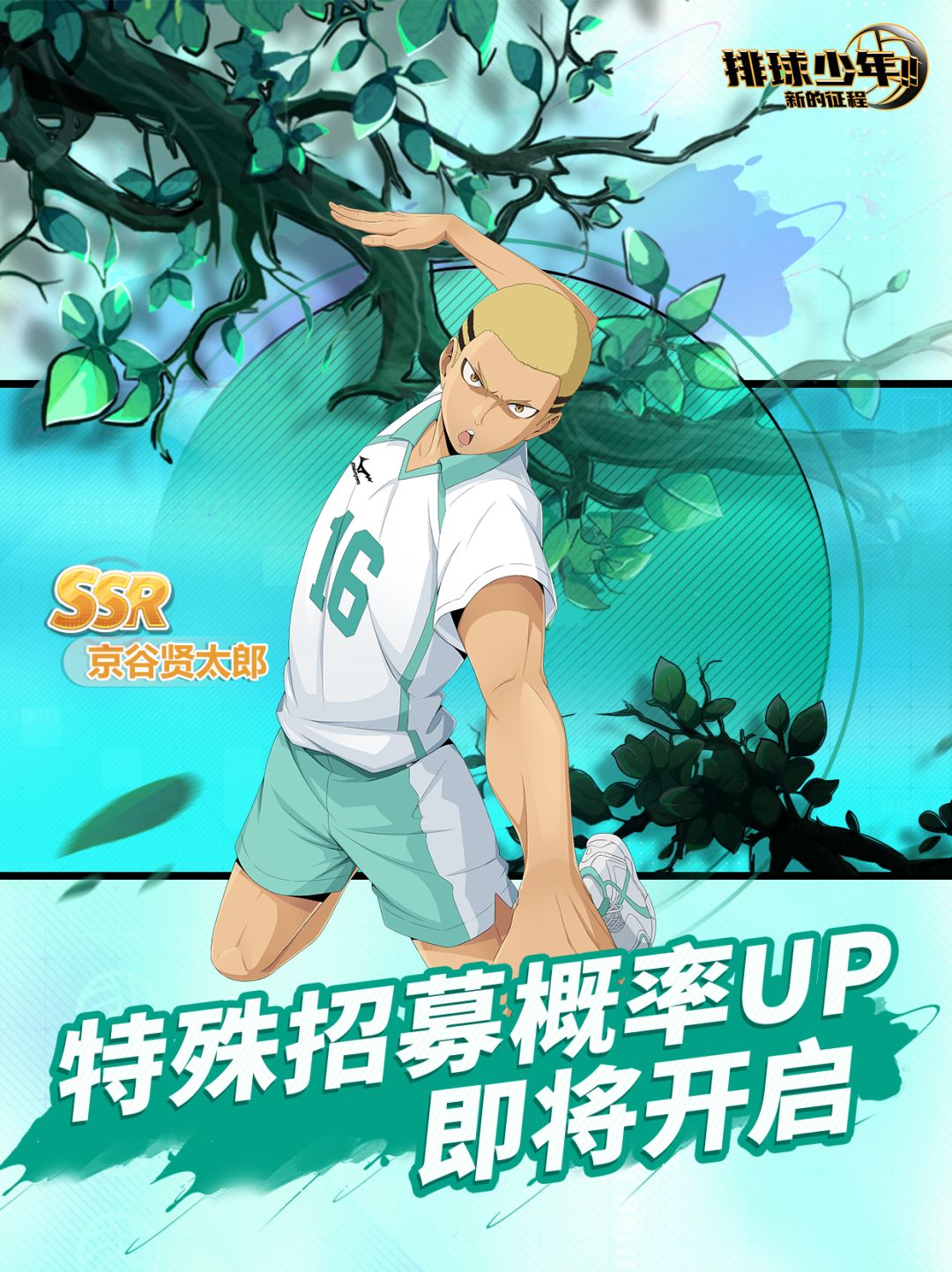 球员招募预告丨京谷贤太郎 12月26日登场! 1