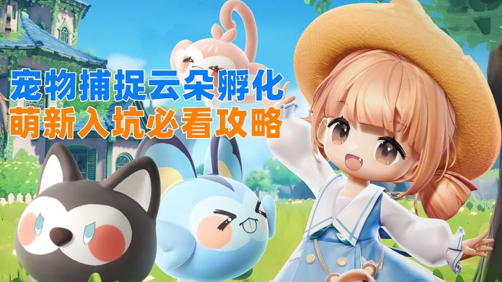 萌新入坑必看,宠物捕捉云朵孵化,米姆米姆哈保姆级攻略!截图