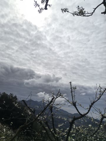 游戏功能建议。