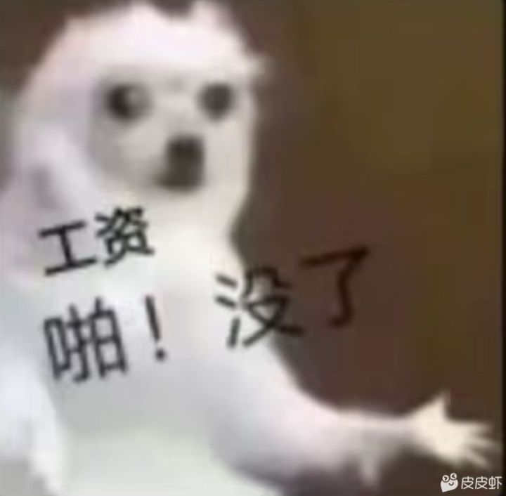 新人求解 周猫币问题截图