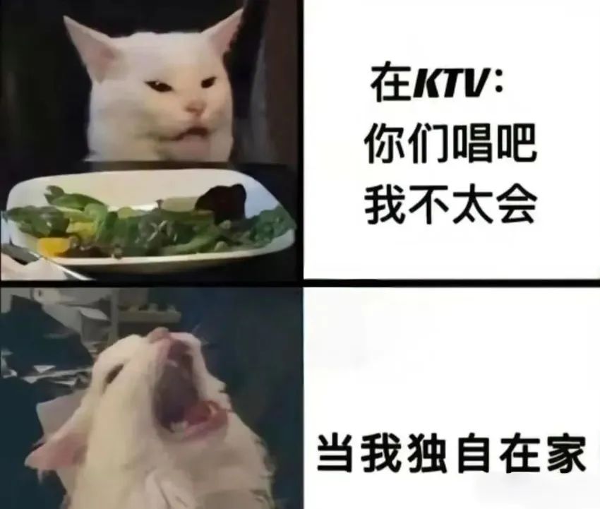 ✨今日份梗图分享第九十九期✨ 1