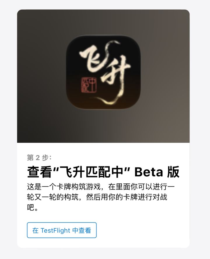 iOS测试版下载说明截图