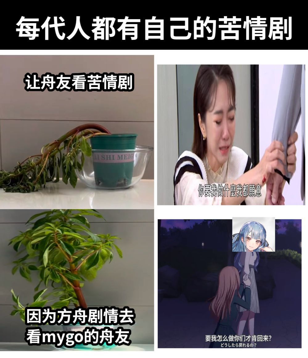 我只喜欢收集 9
