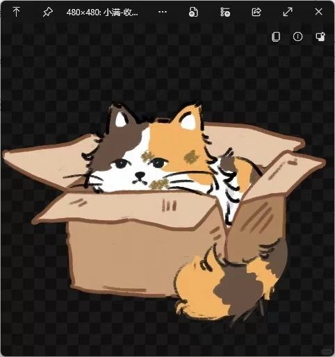 招牌猫猫“小满”的设定过程 3