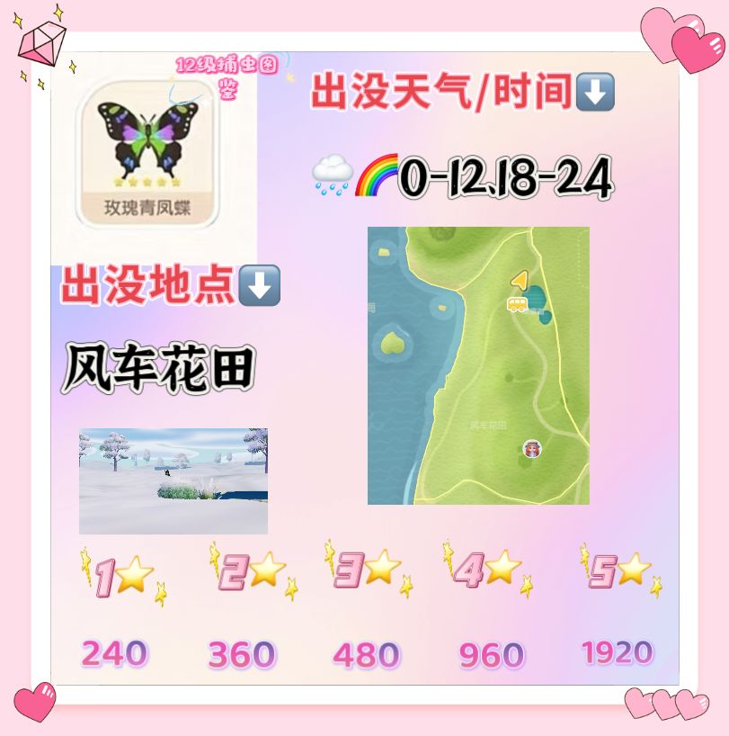 12级捕虫来啦! 2