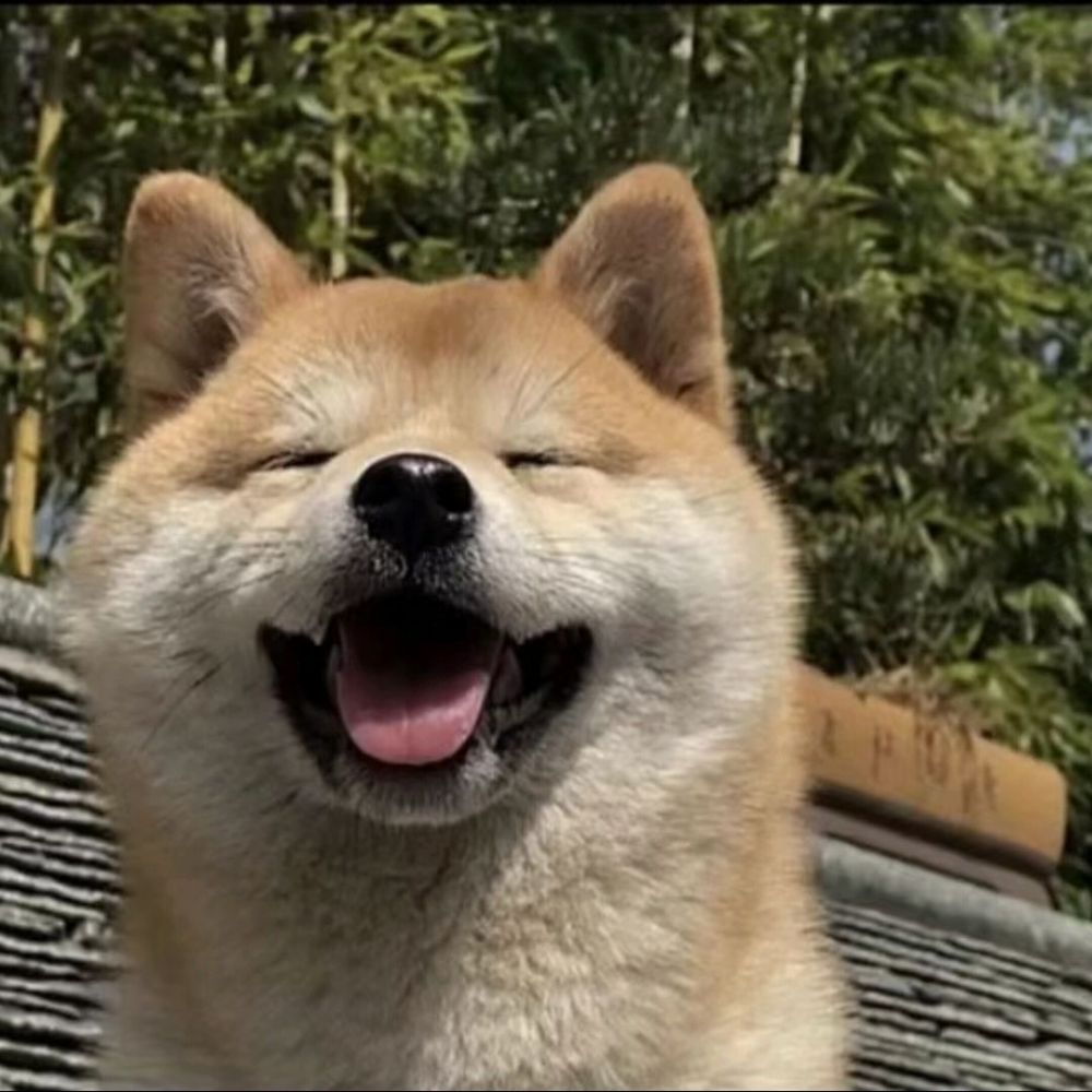 动态图片 4