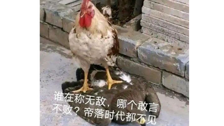 左殇论剑链子截图