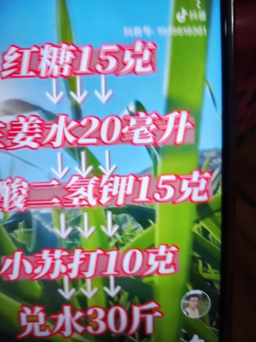 动态图片 7