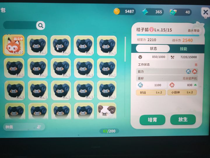 大家的狐狸都是一样的吗截图