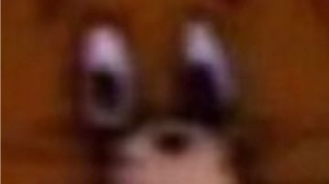 关于九阴九阳玉衡心法木野村支线