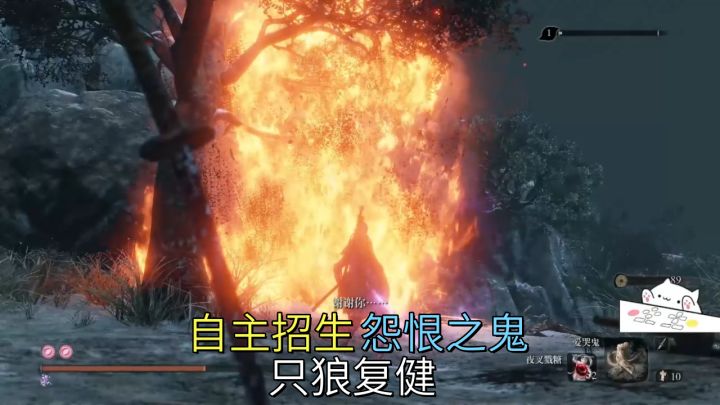 自主招生-怨恨之鬼【只狼】复健截图