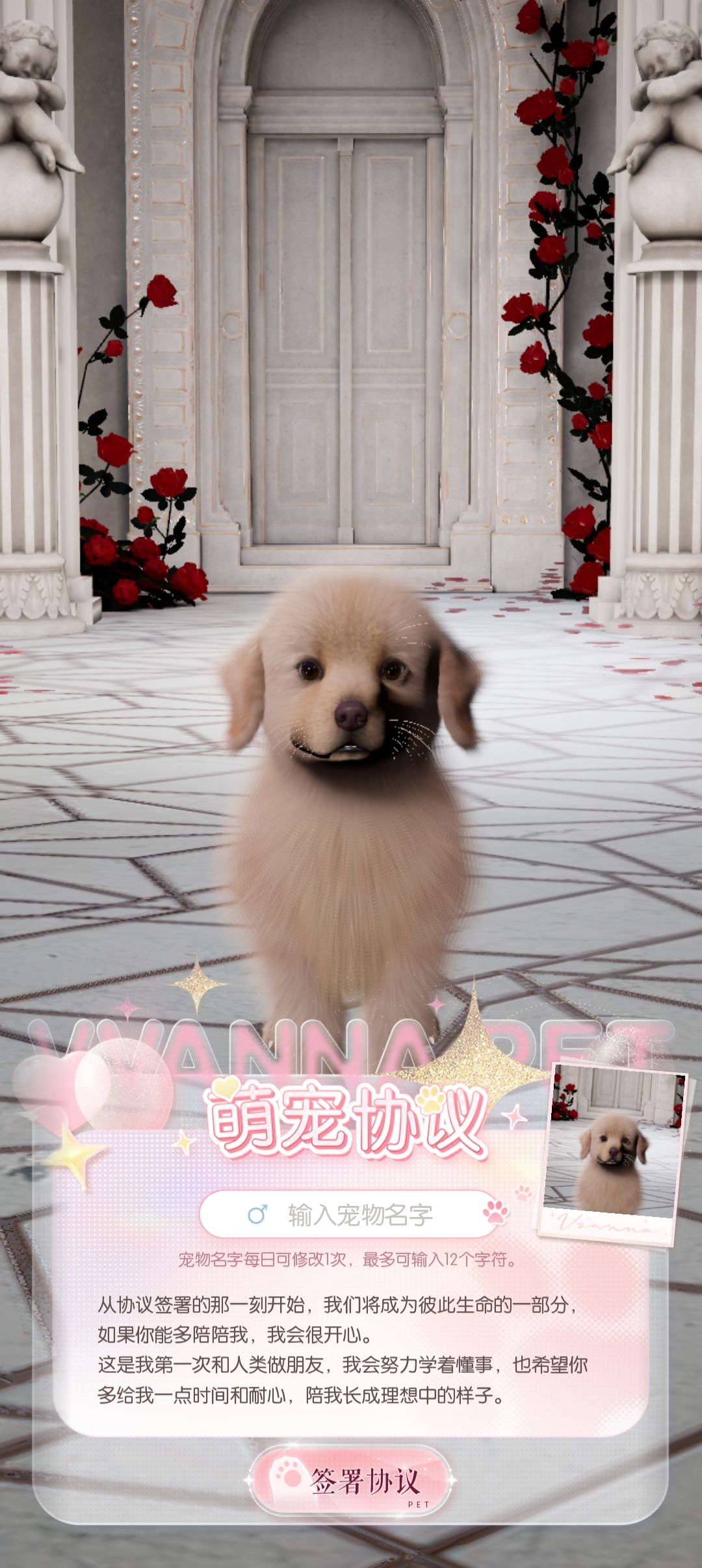 不愧是宠物盲盒啊🤣 2
