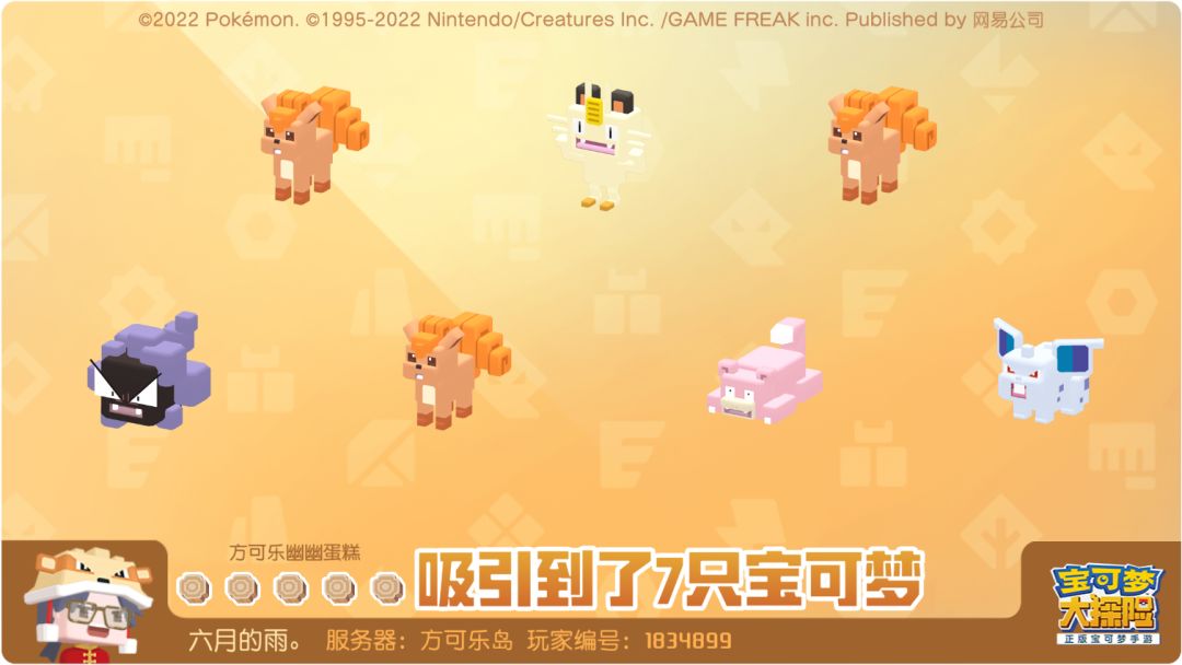 来来来 看看你们家的金锅 2