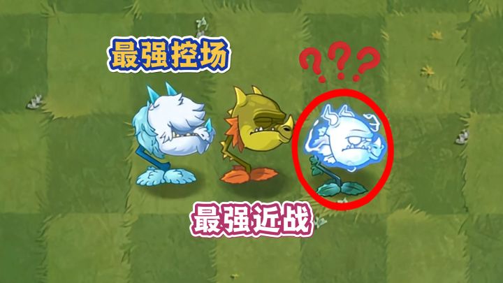 你真的了解雷龙草吗？截图