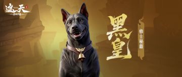 修士秘籍 | 天庭阵营·异常增伤——黑皇
