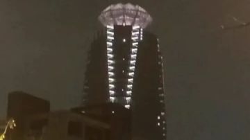 黑心店长的宠物经营之路