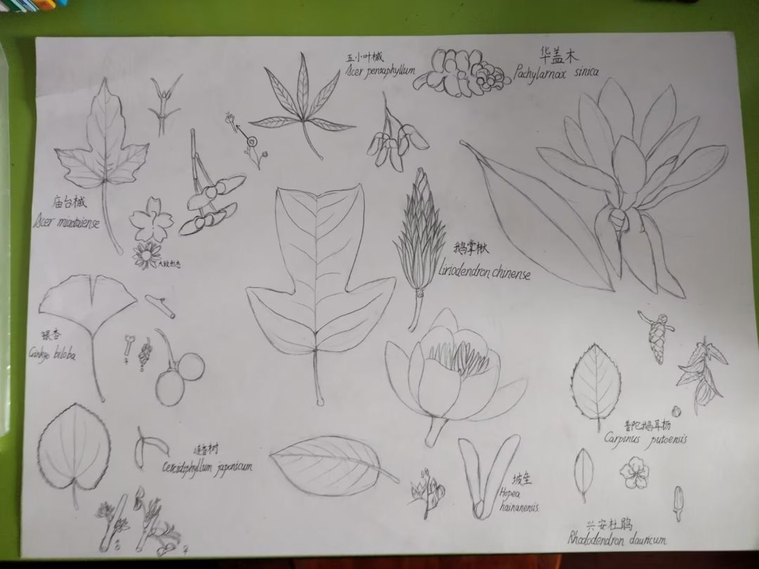 发下最近的屑画() 3