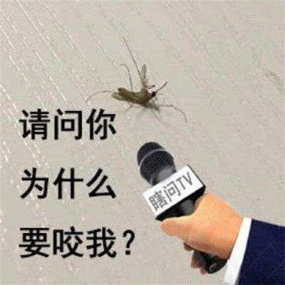 无语截图
