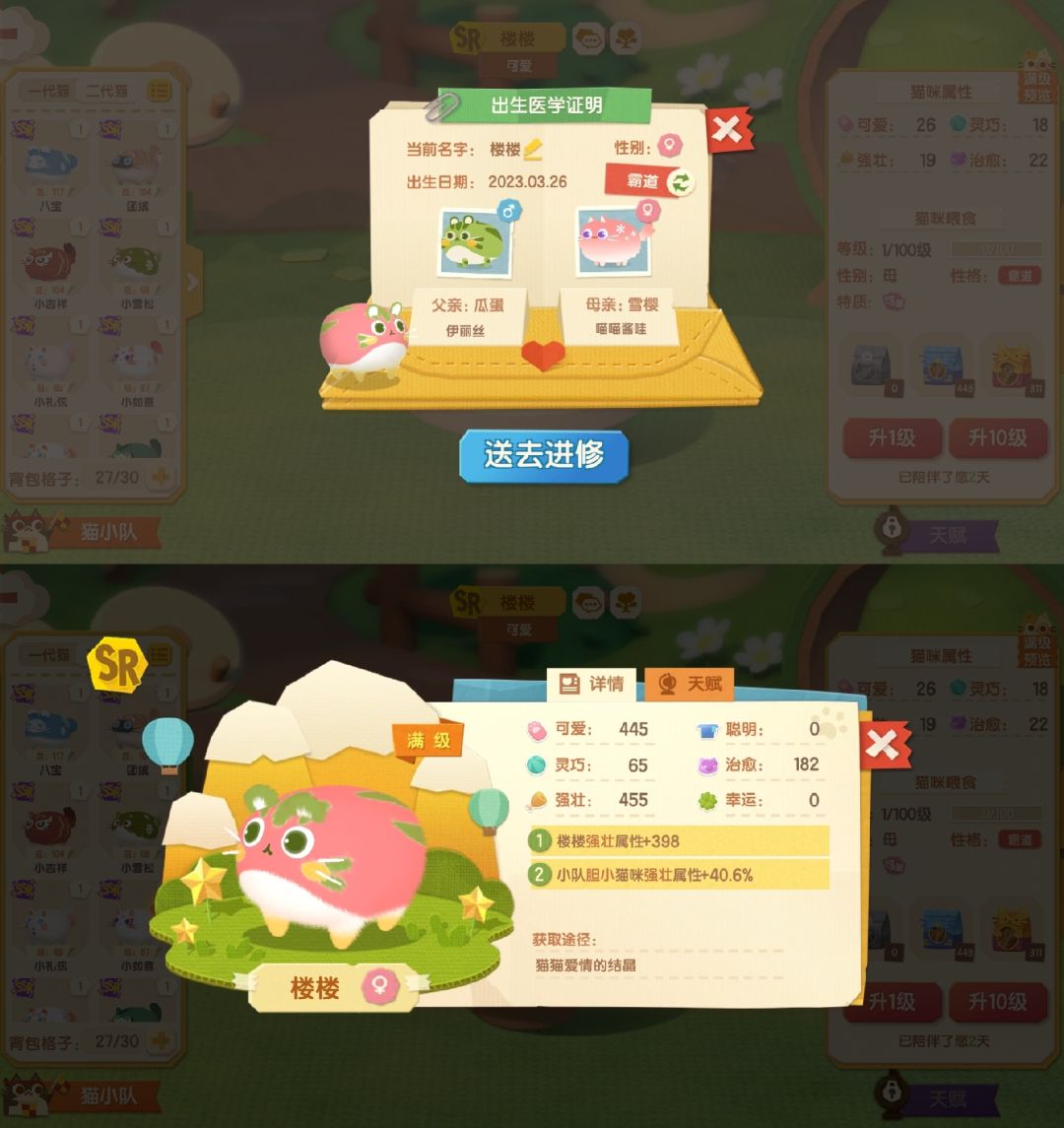 记录一下送去进修的猫猫~ 3