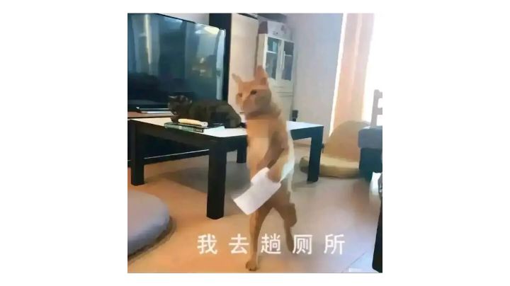 看了曦大佬玩的截图