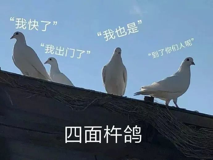 十点了,更新呢 1